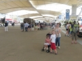 P1020169 (Small)