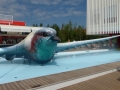 P1020178 (Small)
