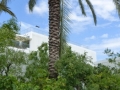P1020181 (Small)