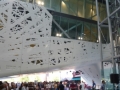 P1020263 (Small)