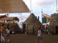 P1020321 (Small)