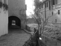 le_conce1_20090922_1867015384