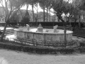 parco_dei_canape1_20090922_1878820802