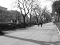 parco_dei_canape2_20090922_1048818693