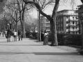 parco_dei_canape3_20090922_2019893346