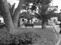 piazza_san_domenico1_20090922_1992318125