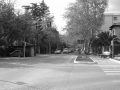 viale_firenze1_20090922_1249304448