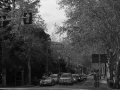 Viale Firenze